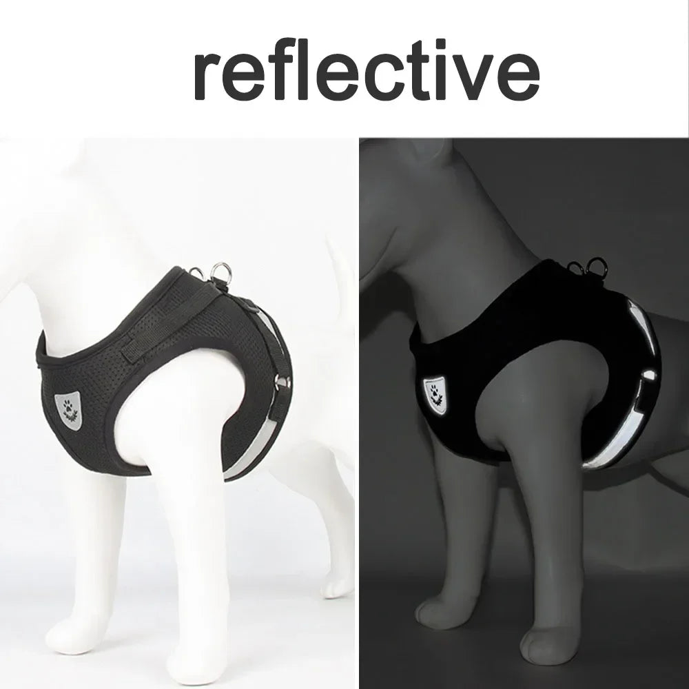 Escape-Proof Cat Harness & Leash Set – Reflective Mesh