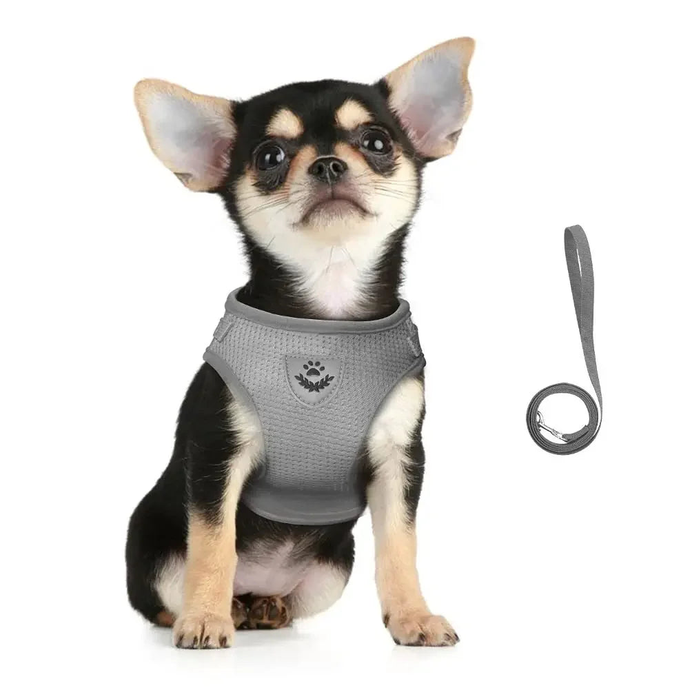 Escape-Proof Cat Harness & Leash Set – Reflective Mesh