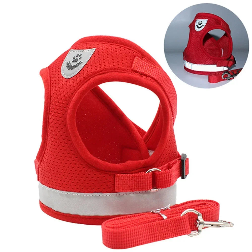 Escape-Proof Cat Harness & Leash Set – Reflective Mesh